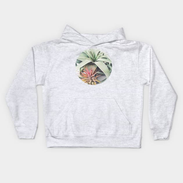 Air Plant Collection III Kids Hoodie by Cassia